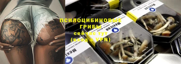 ECSTASY Алексин