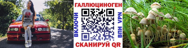 где можно купить   MEGA   Псилоцибиновые грибы прущие грибы  Любим 